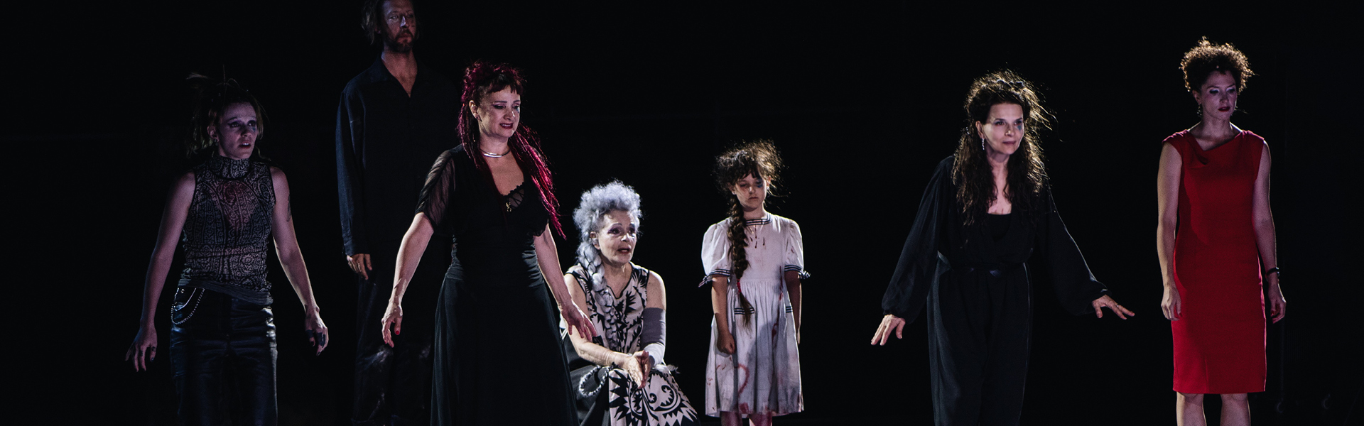 photo du spectacle Le Serment d'Europe